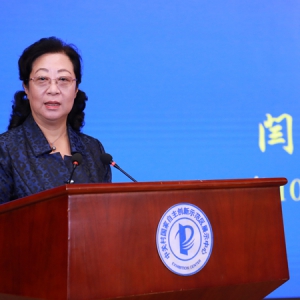 闫傲霜出席2019中关村论坛并发表演讲