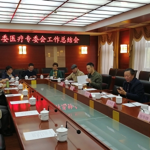 致公党北京市委医疗工作委员会召开总结会议
