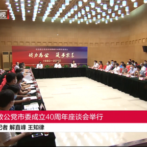 北京新闻：万钢主席出席&ldquo;纪念致公党北京市委成立40周年暨&lsquo;致力为公&bull;筑梦京华&rsquo;主题座谈会&rdquo;