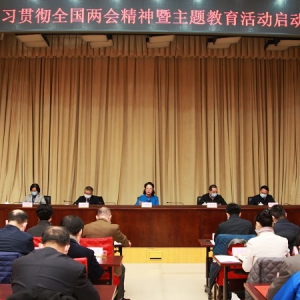 致公党北京市委召开学习贯彻全国&ldquo;两会&rdquo;精神暨中共党史学习教育活动动员部署会议