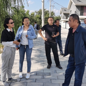 致公党北京市委组织党员专家赴门头沟区张家村开展墙绘项目考察