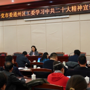 闫傲霜出席致公党通州区工委2022年度总结大会并作中共二十大精神宣讲报告