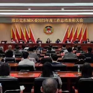 闫傲霜出席致公党东城区委2023年度工作总结表彰大会