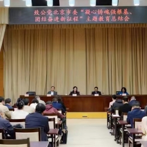 致公党北京市委召开&ldquo;凝心铸魂强根基、团结奋进新征程&rdquo;主题教育总结会