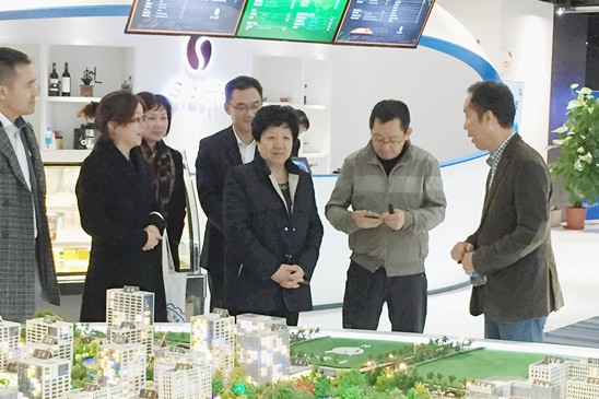 李昭玲到大兴区中科电商谷考察调研