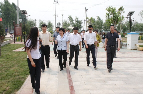 李昭玲一行赴河北香河国际建材交易中心调研