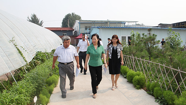 2018年7月20日，闫傲霜赴房山区支部调研-考察中药种植基地.jpg