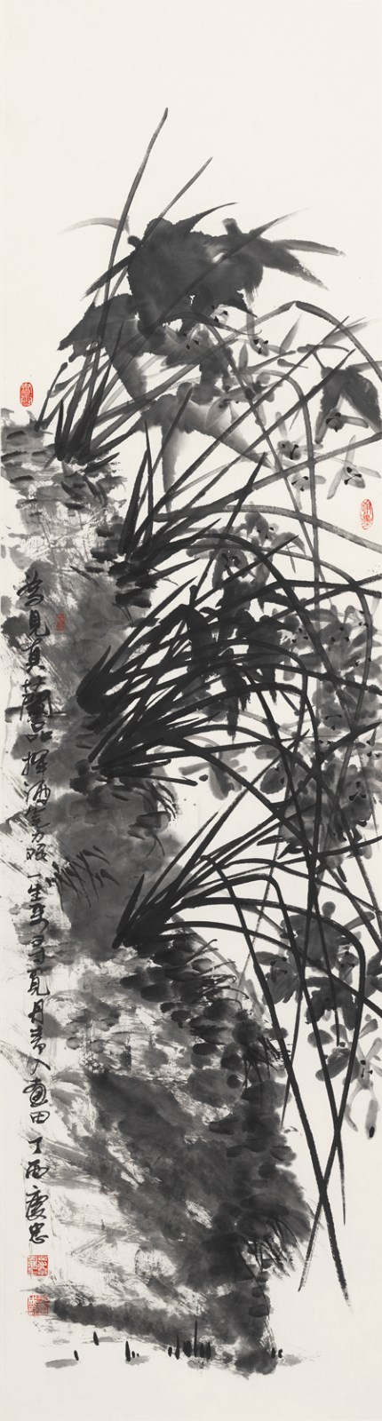 为见真兰品 179＊48_副本.jpg