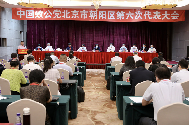 20210611中国致公党北京市朝阳区第六次代表大会隆重召开3_副本.jpg