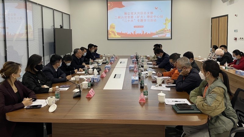 致公党大兴区总支部理论学习中心组召开学习中共二十大精神专题会-1.jpg
