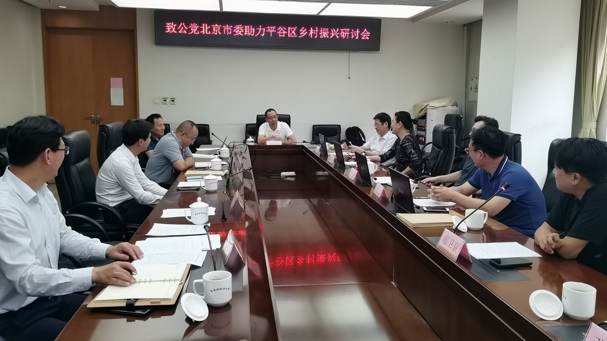 20230728致公党北京市委召开助力平谷区乡村振兴研讨会_1200.jpg