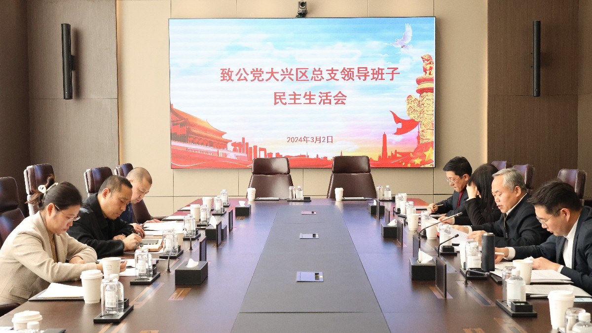 20240302致公党大兴区总支部召开领导班子述职民主评议会和民主生活会2-1200.jpg